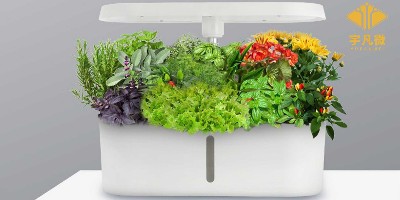 led植物燈方案開發(fā)