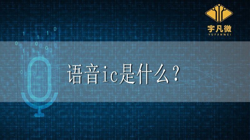 語音ic是什么？