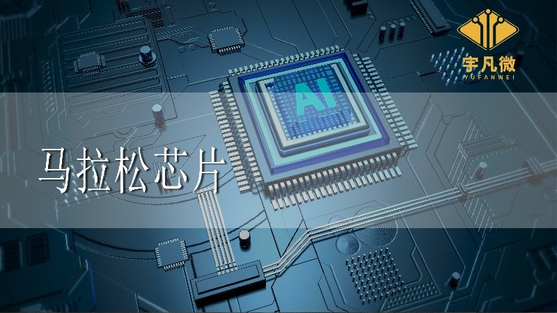 馬拉松芯片的作用