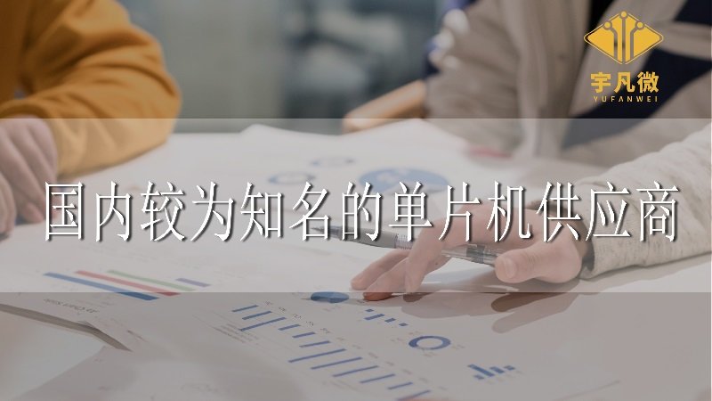 國內(nèi)較為知名的單片機供應商
